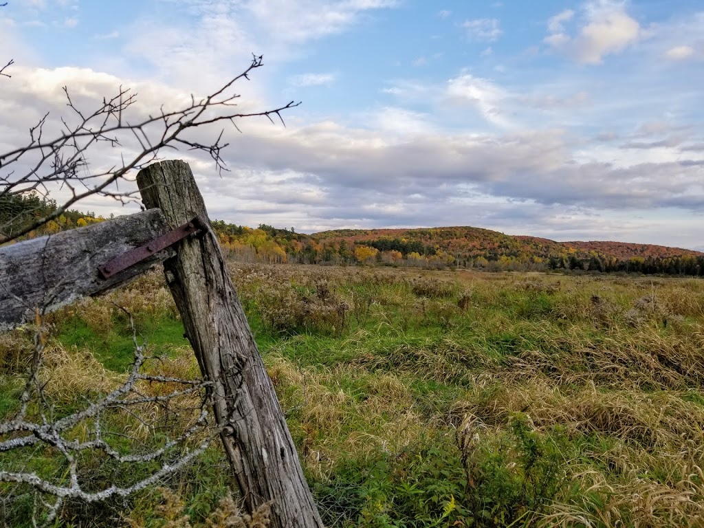 P16 Vallee-Meech | Chemin Pine, Chelsea, QC J9B 2K2, Canada