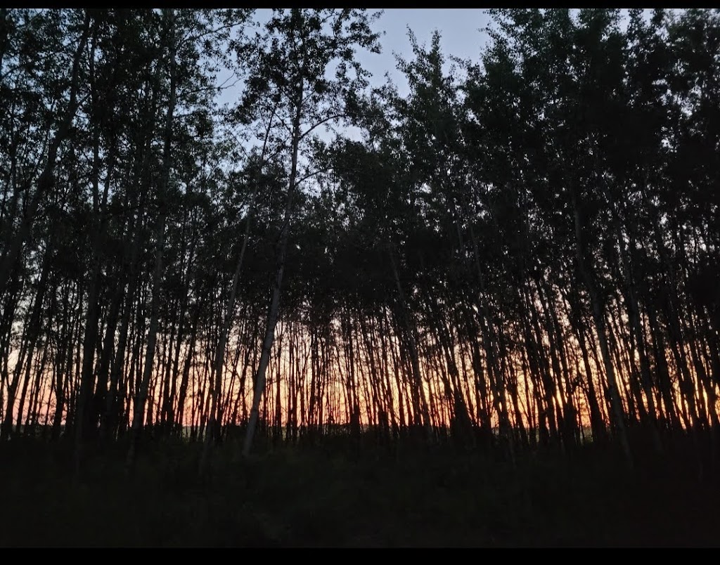 Victoria Trail Campground & RV | 19080 - TWP 590, Smoky Lake, AB T0A 3C0, Canada | Phone: (780) 299-9278