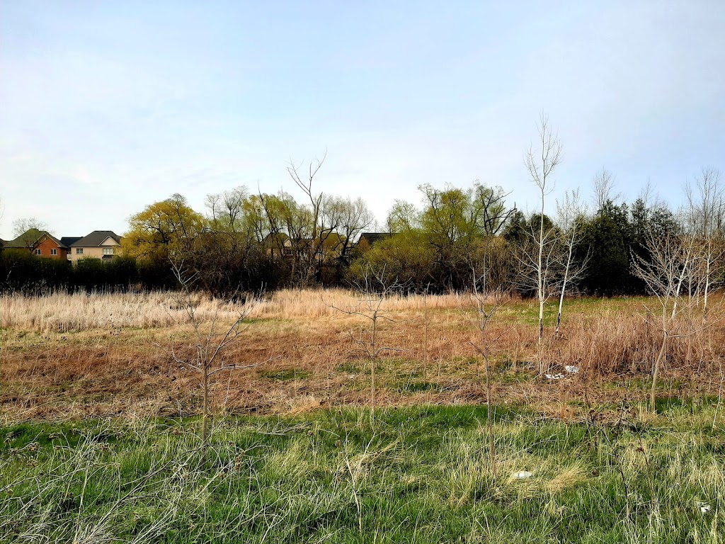 Heatherglen Valley | Brampton, ON L6Y 0B7, Canada | Phone: (905) 874-2000