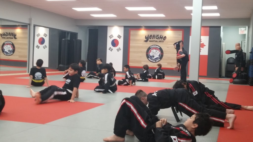 Yongho Hapkido Martial Arts Academy | 2565 Barnet Hwy #11, Coquitlam, BC V3H 4E2, Canada | Phone: (604) 552-1325