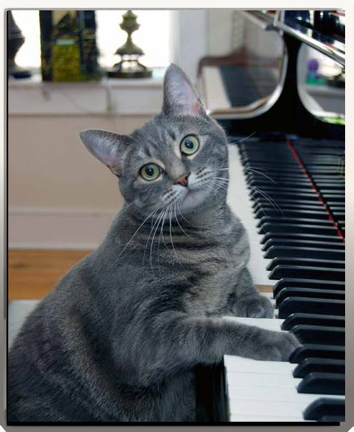 Susan Dubes Music Studio | 125 Dorothy St, Welland, ON L3B 3V8, Canada | Phone: (905) 734-3331