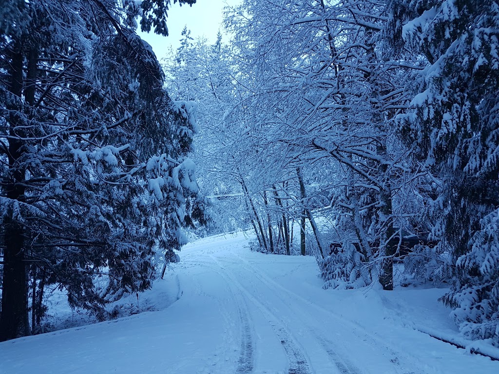 Gordon Insulation Ltd | 5166 Rocky Point Rd, Victoria, BC V9C 4G7, Canada | Phone: (250) 744-7262