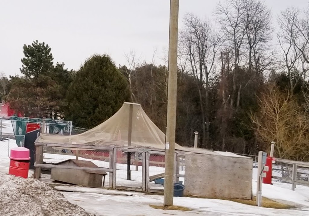Twindmills Markets | 114 Purdy Rd #2, Colborne, ON K0K 1S0, Canada | Phone: (905) 355-3715