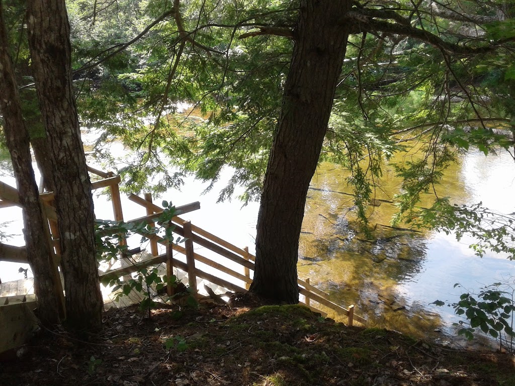 Little River Lodge | 4233 Rte 895, Little River, NB E4J 1S1, Canada | Phone: (506) 372-0085