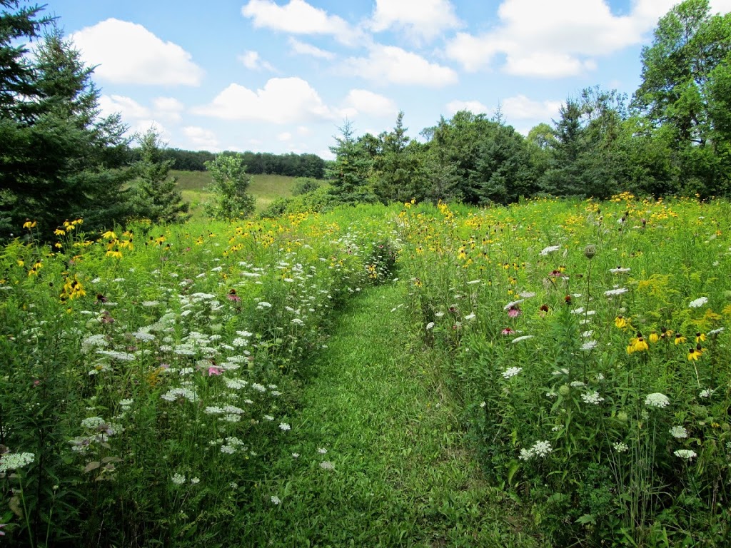 Duthie & Associates Landscape Design | 349 Woolwich St, Guelph, ON N1H 3W4, Canada | Phone: (519) 829-5646