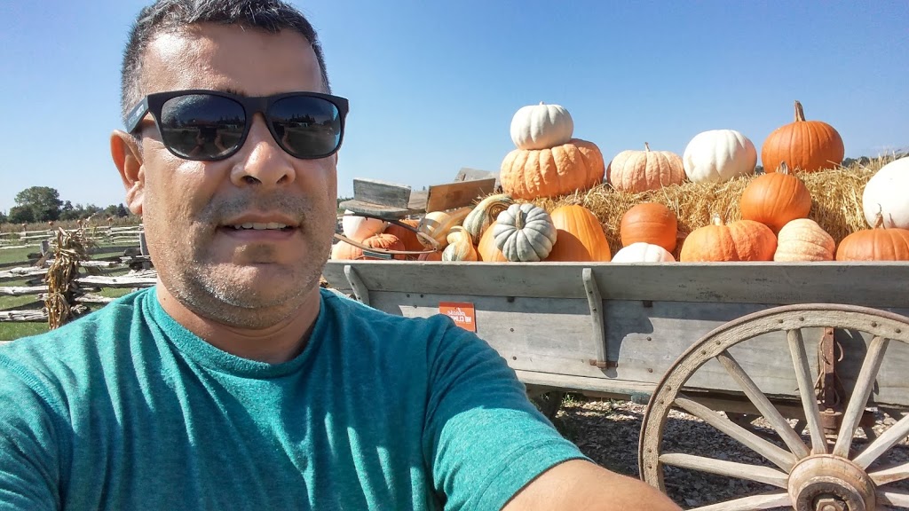 Murphys Farm Market & Bakery | 5141 County Rd 10, Alliston, ON L9R 1V2, Canada | Phone: (705) 435-2141