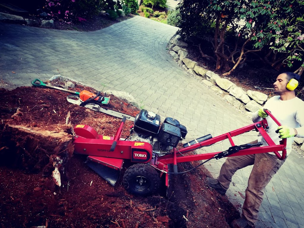 Aesthetic Tree & Hedge Services Brittania | 802 Britannia Way, Britannia Beach, BC V0N 1J0, Canada | Phone: (604) 716-7377