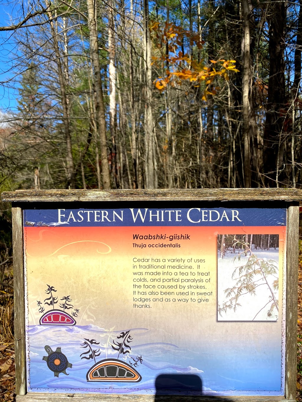 Couchiching Conservancy | 1485 Division Rd W, Orillia, ON L3V 0X6, Canada | Phone: (705) 326-1620