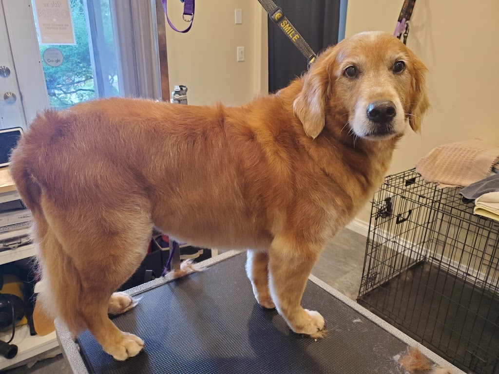 CCs Pet Spaw | 1124 Fern Ridge Dr, Mill Bay, BC V0R 2P2, Canada | Phone: (250) 686-8260