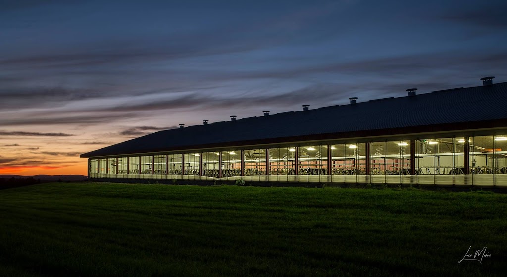 Ferme Courlin Inc. | 36 Rang Petit-Shenley, Saint-Éphrem-de-Beauce, QC G0M 1R0, Canada | Phone: (418) 484-2041