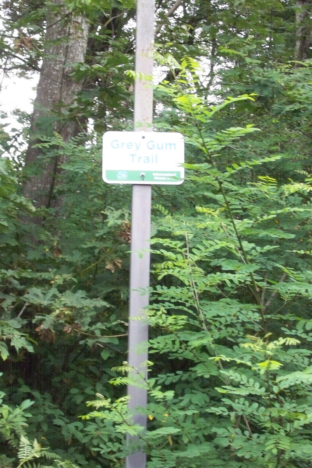 Champlain Heights Trails | Douglas Fir Trail, Vancouver, BC V5S 3Y5, Canada | Phone: (604) 873-7000
