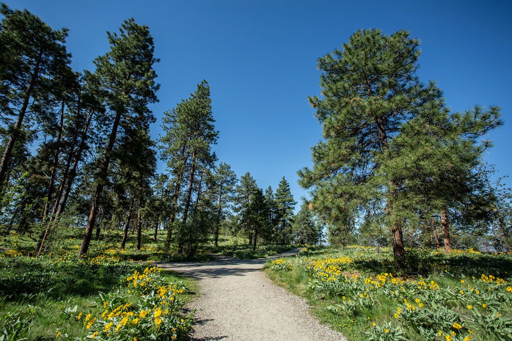 Andrew Smith - Royal LePage Kelowna | 1-1890 Cooper Rd, Kelowna, BC V1Y 8B7, Canada | Phone: (250) 979-8066