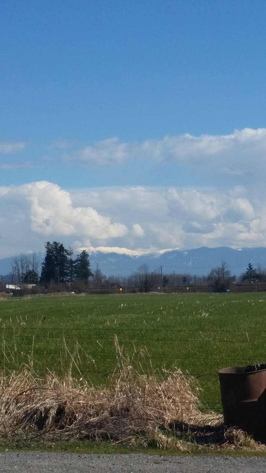 Emerald Green Landscaping Inc | 36757 Alberta Rd, Fraser Valley G, BC V2V 7G8, Canada | Phone: (604) 820-2907