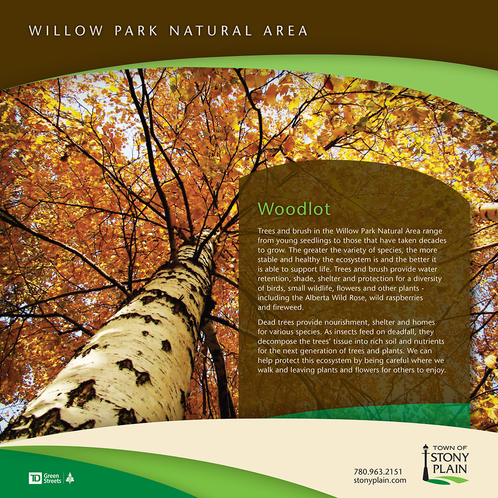 Willow Park Natural Area | 5707 45 St, Stony Plain, AB T7Z 1C7, Canada