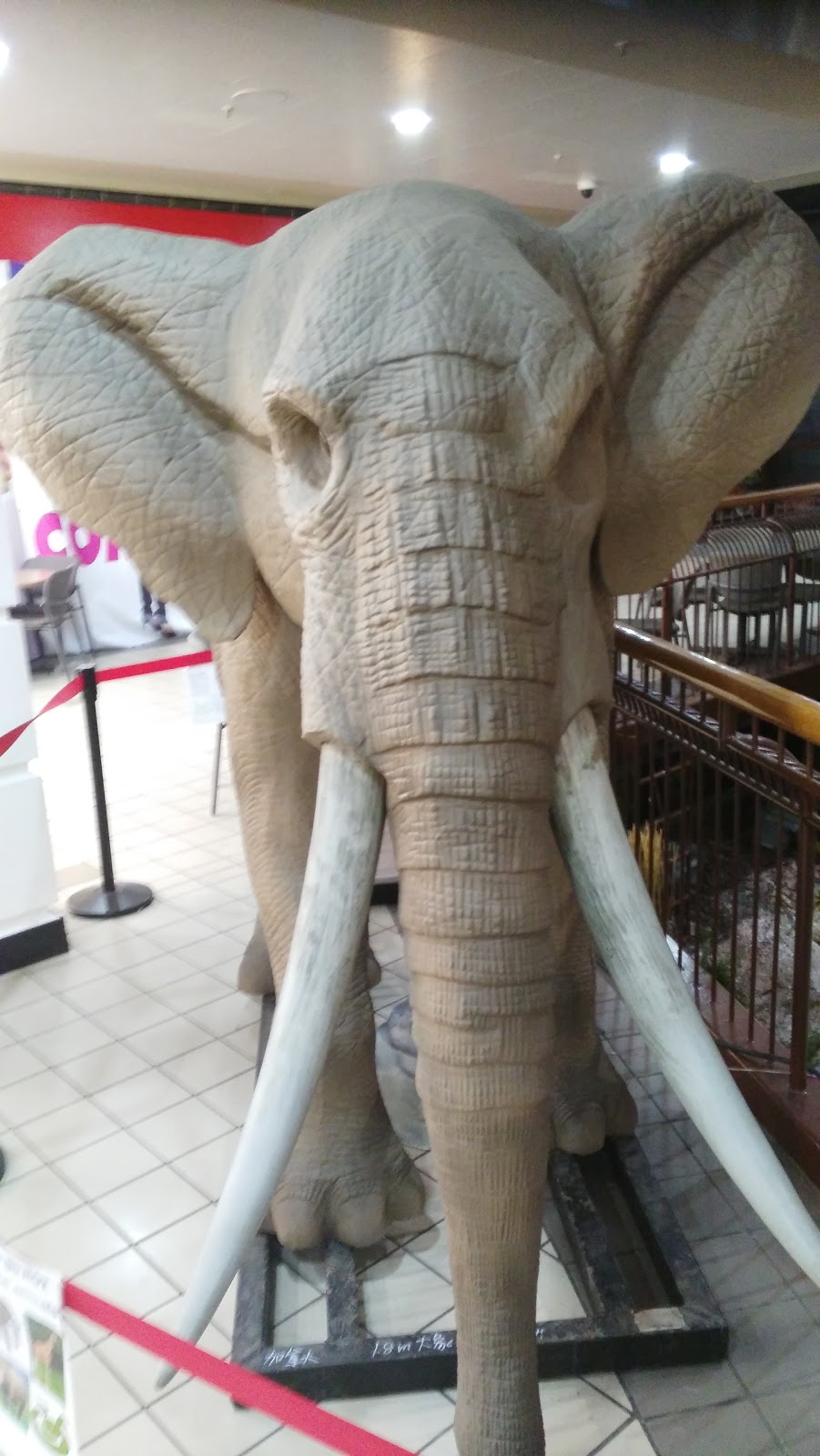 Fantasy Fair | 500 Rexdale Blvd, Etobicoke, ON M9W 6K5, Canada | Phone: (437) 880-8448