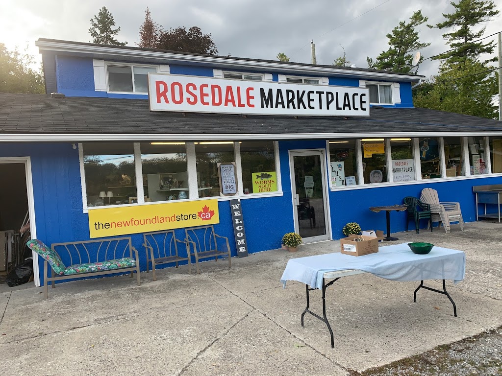 Lighthouse Real Estate LTD Brokerage | 17 May St, Fenelon Falls, ON K0M 1N0, Canada | Phone: (705) 887-5252