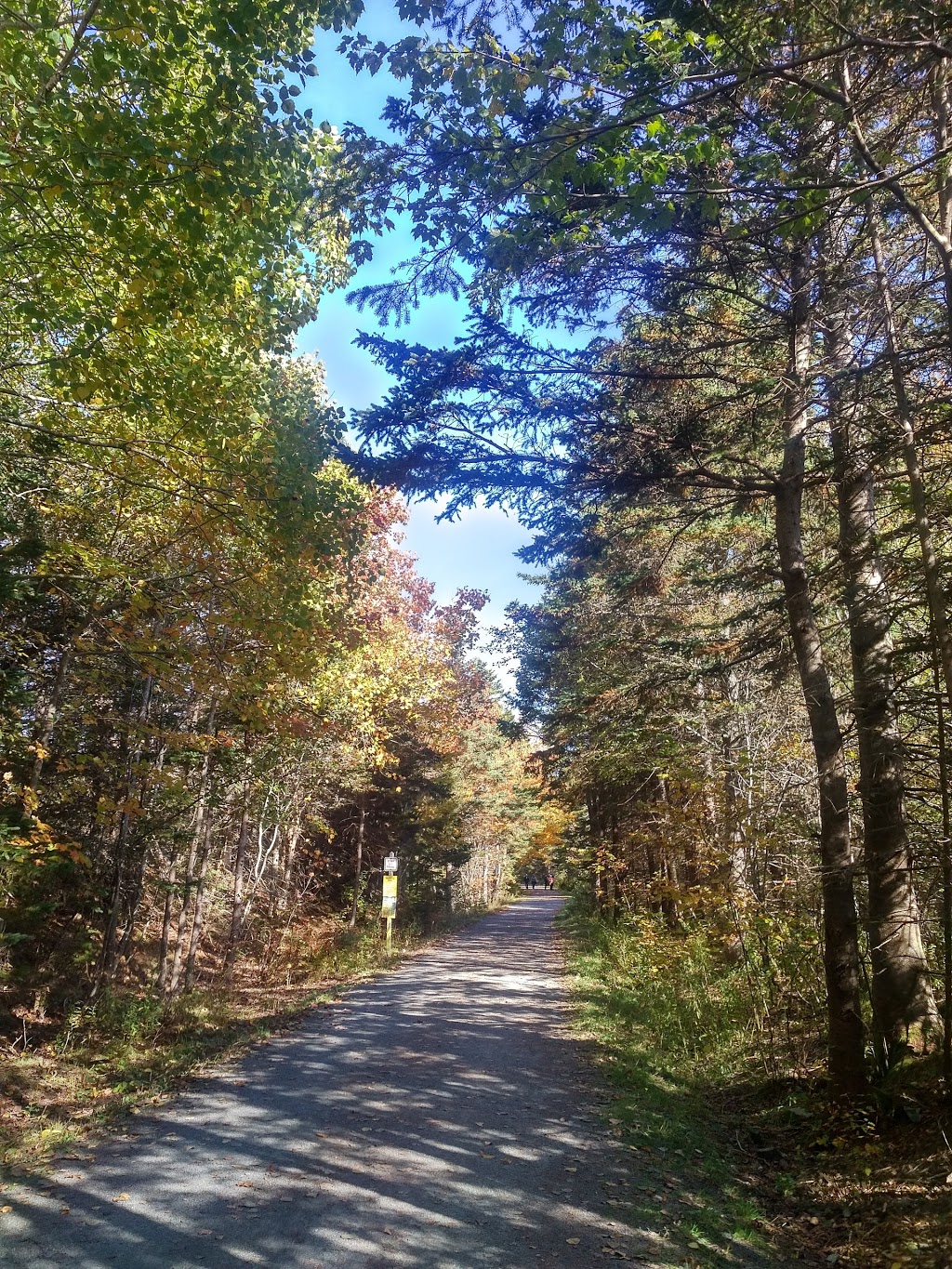 Salt Marsh Trail | Trans Canada Trial, Cole Harbour, NS B2V 2T2, Canada