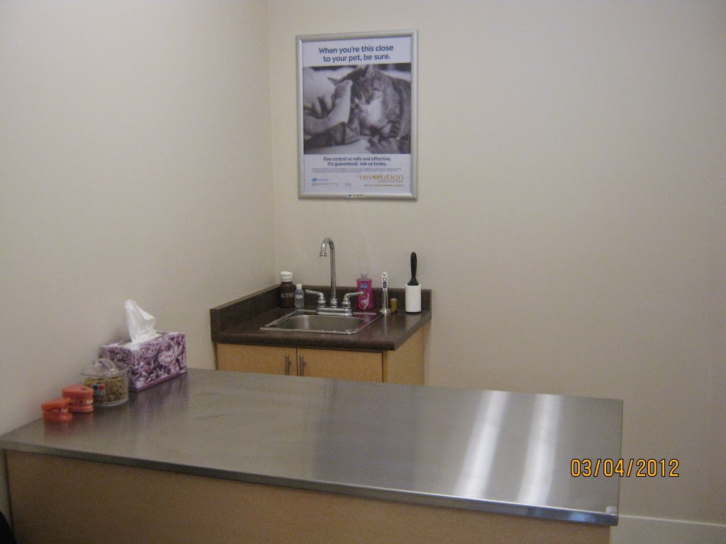 Alpha Animal Hospital | 2362 Whatcom Rd #125, Abbotsford, BC V3G 0C1, Canada | Phone: (604) 859-6322