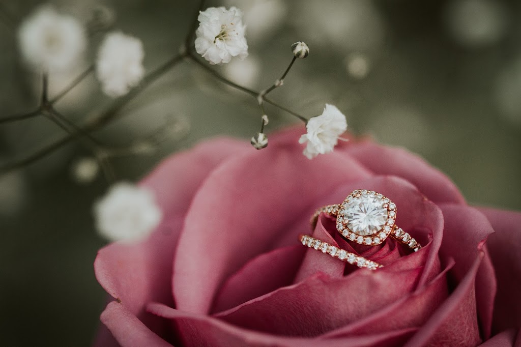 Emily Cantera Photography | 46107 Downes Ave, Chilliwack, BC V2R 2Y9, Canada | Phone: (604) 786-2590