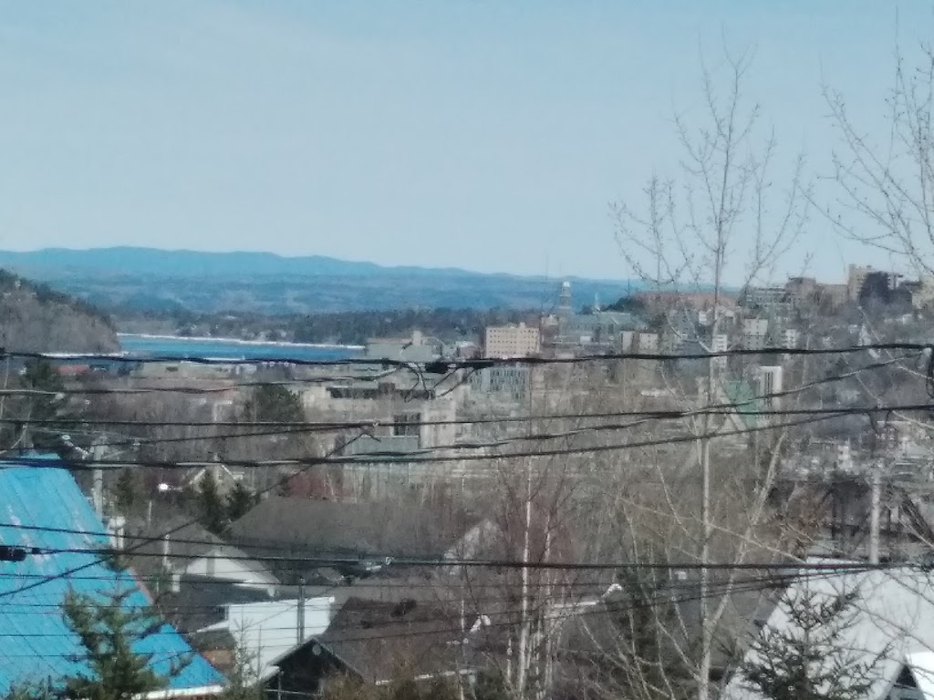 Clinique vétérinaire Dr Karina Paradis | 772 Bd Barrette, Chicoutimi, QC G7J 3Z5, Canada | Phone: (418) 690-0064