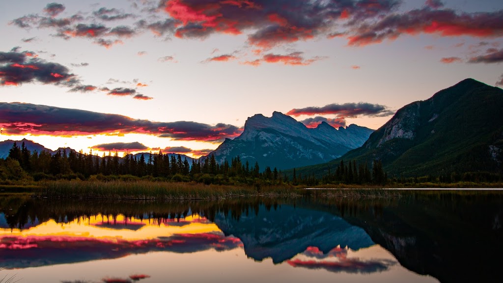 Mark Moser Photography | 33157 Best Ave, Mission, BC V2V 2S9, Canada | Phone: (604) 866-4026