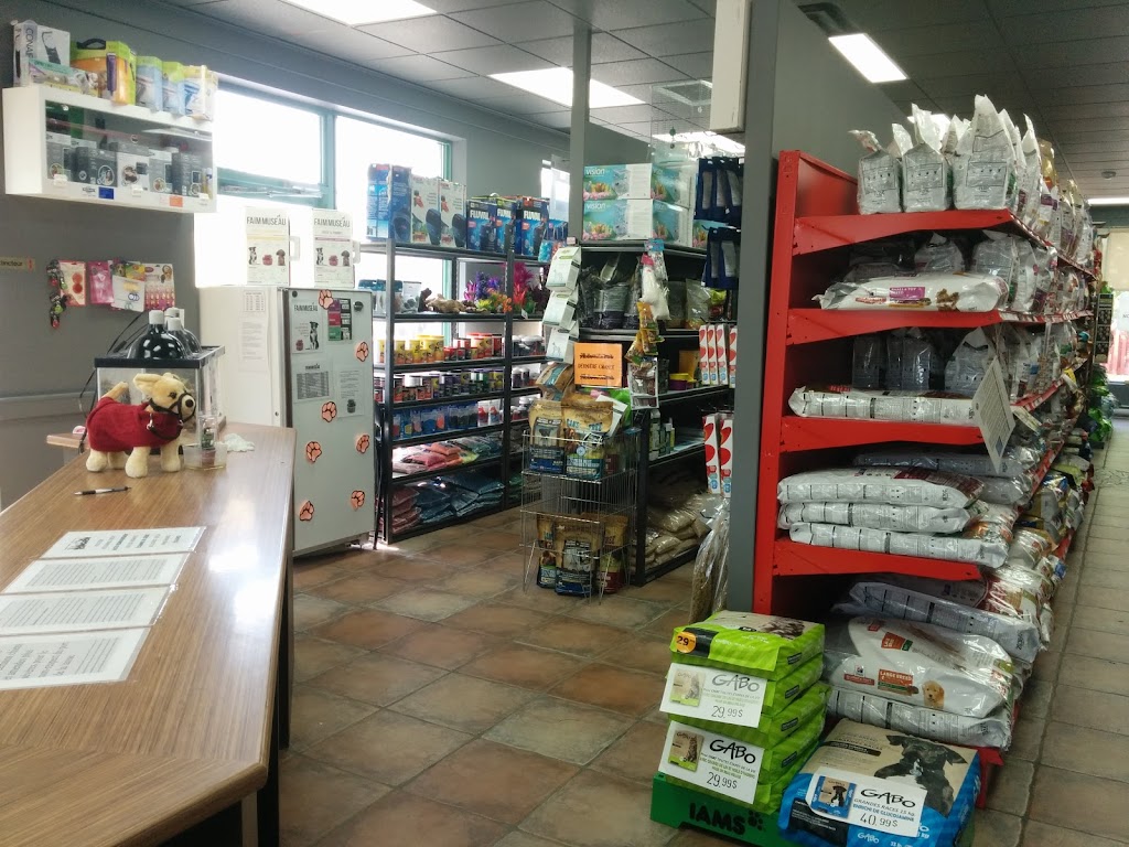 Tropicazoo Ste-Julie | 1791 Rue Principale, Sainte-Julie, QC J3E 1W7, Canada | Phone: (450) 922-2557