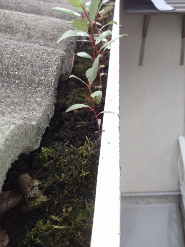 Adequate Solutions | 1526 Maplehurst Cir, Burnaby, BC V5A 3Z1, Canada | Phone: (604) 349-7506