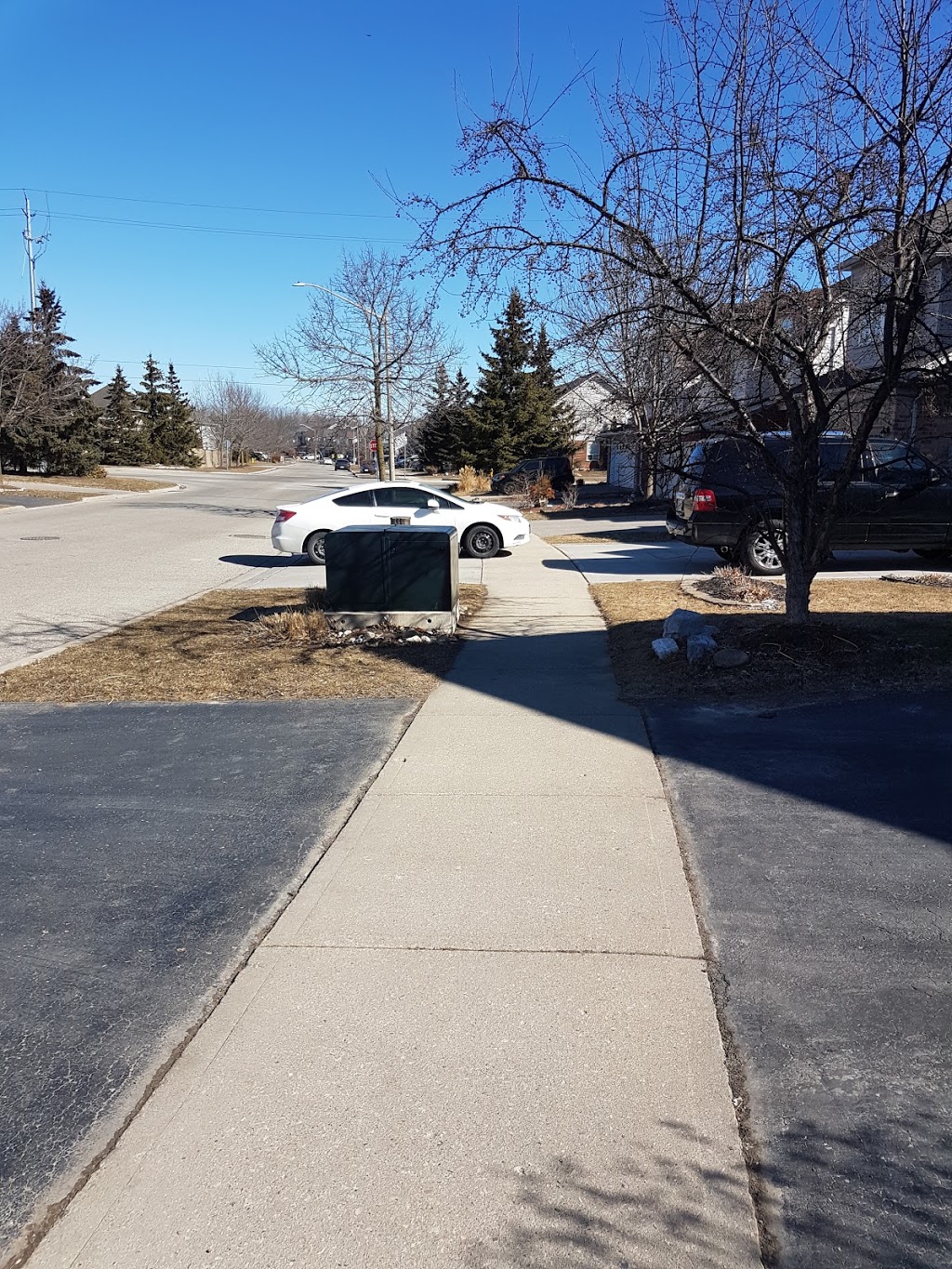 Old Oak Park | 507 Old Oak Pl, Waterloo, ON N2T 2V8, Canada