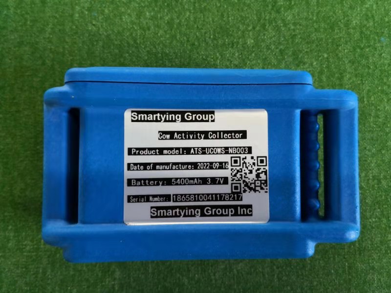 Smartying Group Inc | 65 Leitch Ave, Toronto, ON M3J 0E2, Canada | Phone: (416) 829-5628