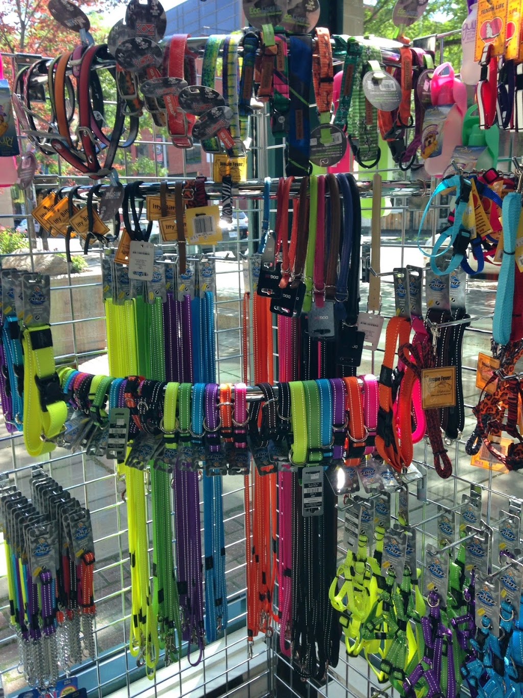 Cricket & Company | 21 Murray St, Ottawa, ON K1N 9M5, Canada | Phone: (613) 562-1919