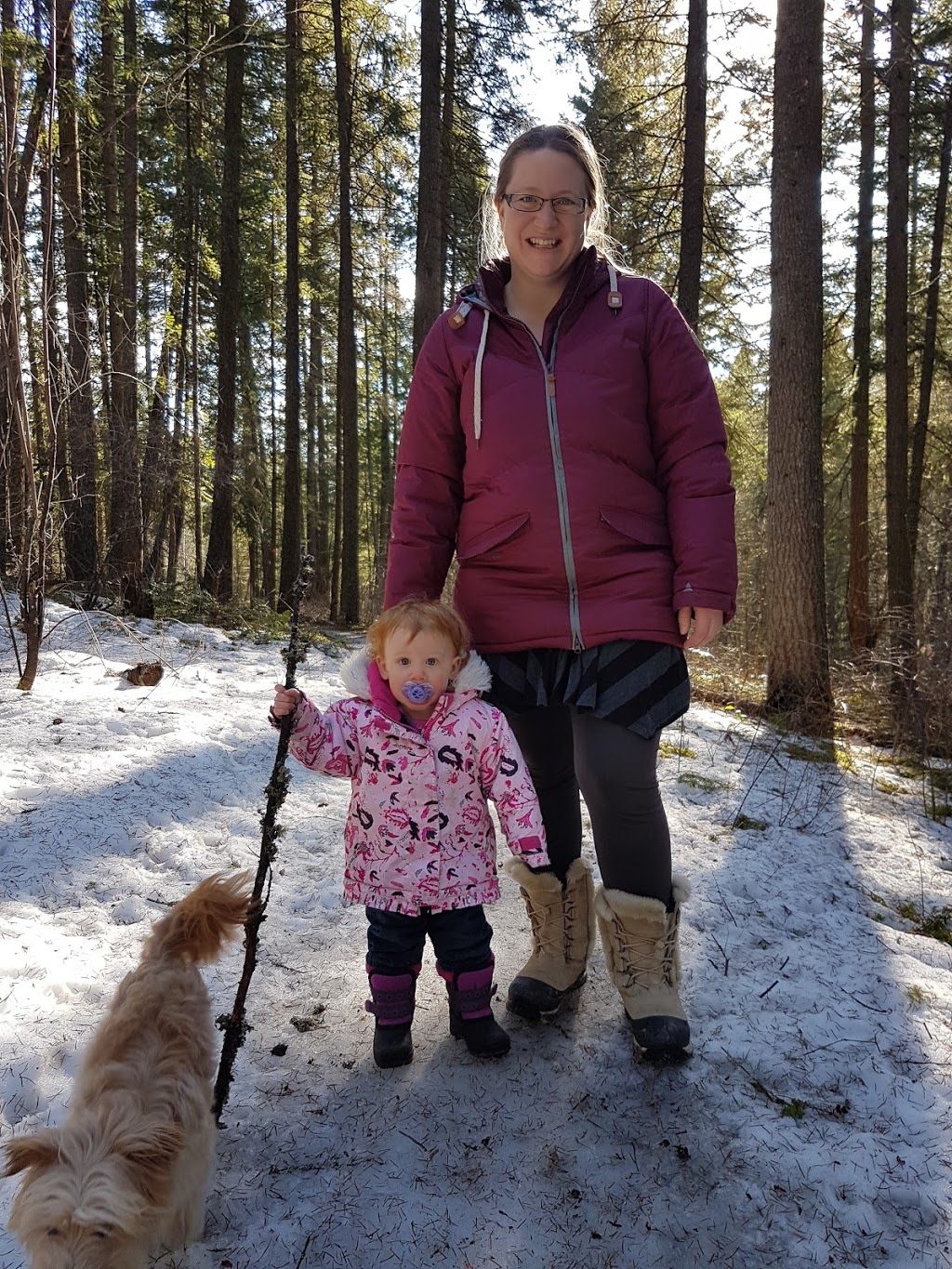 Balmoral Bluffs Trail System | Balmoral Rd, Blind Bay, BC V0E 1H1, Canada | Phone: (250) 832-8103