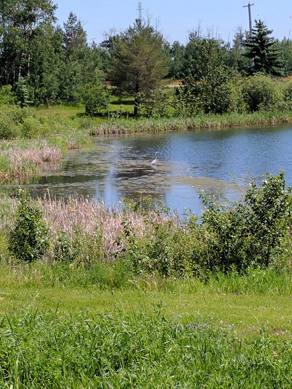 Christopher Cruz Park | 1305 Potter Greens Dr NW, Edmonton, AB T5T 6A3, Canada