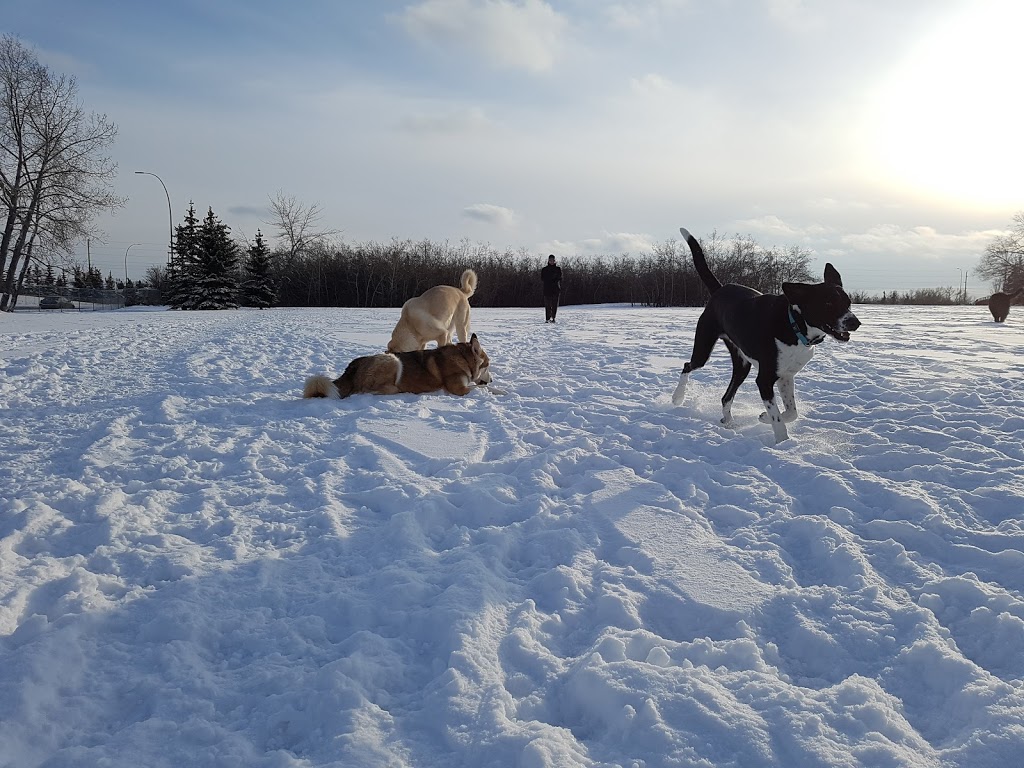 Off leash Park | Braeside, Calgary, AB T2W 1R9, Canada