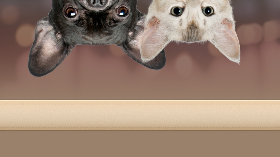 Speers Road Animal Hospital | 1026 Speers Rd, Oakville, ON L6L 2X4, Canada | Phone: (905) 844-6786