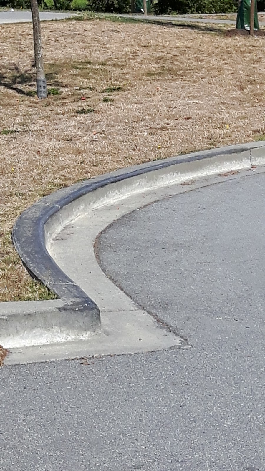 Ladner Skatepark | 4680 Clarence Taylor Crescent, Delta, BC V4K 3V6, Canada | Phone: (604) 952-3000