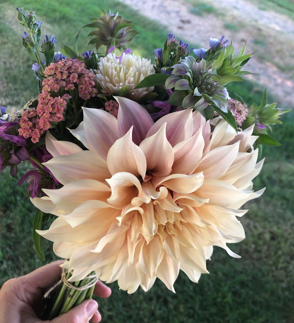 Willanna Farm: Seasonal Bouquets, Christmas Trees and more | 4062 Lefeuvre Rd, Abbotsford, BC V4X 1N8, Canada | Phone: (604) 850-4196