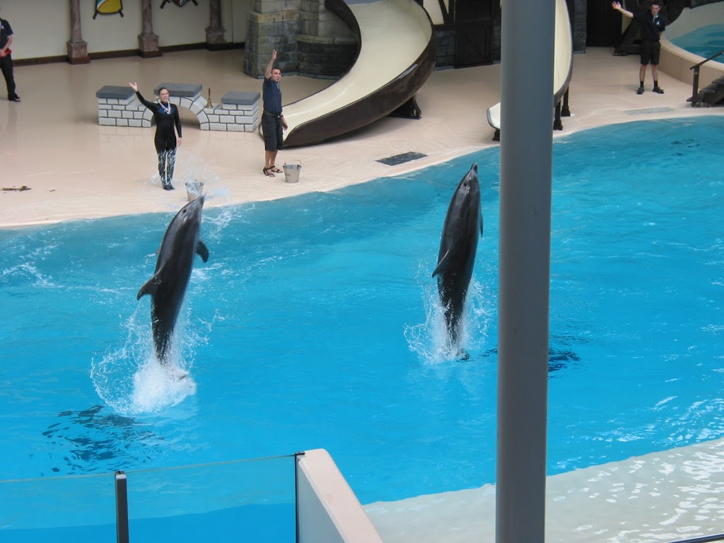 MarineLand | 7657 Portage Rd, Niagara Falls, ON L2E 6X8, Canada | Phone: (905) 356-9565