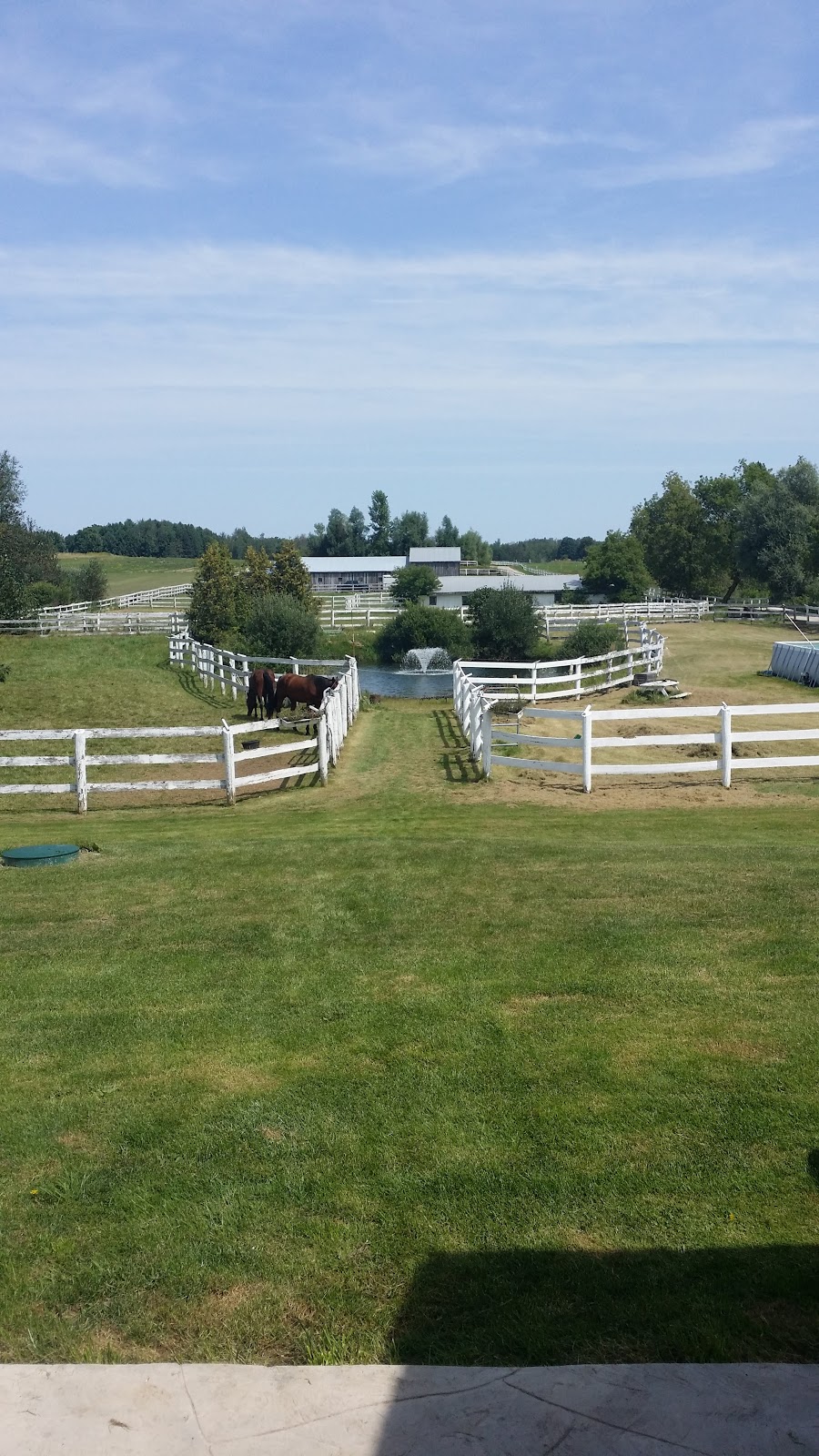 Devonshire Stables | 6211 4 Line, Fergus, ON N1M 2W5, Canada | Phone: (519) 787-9310