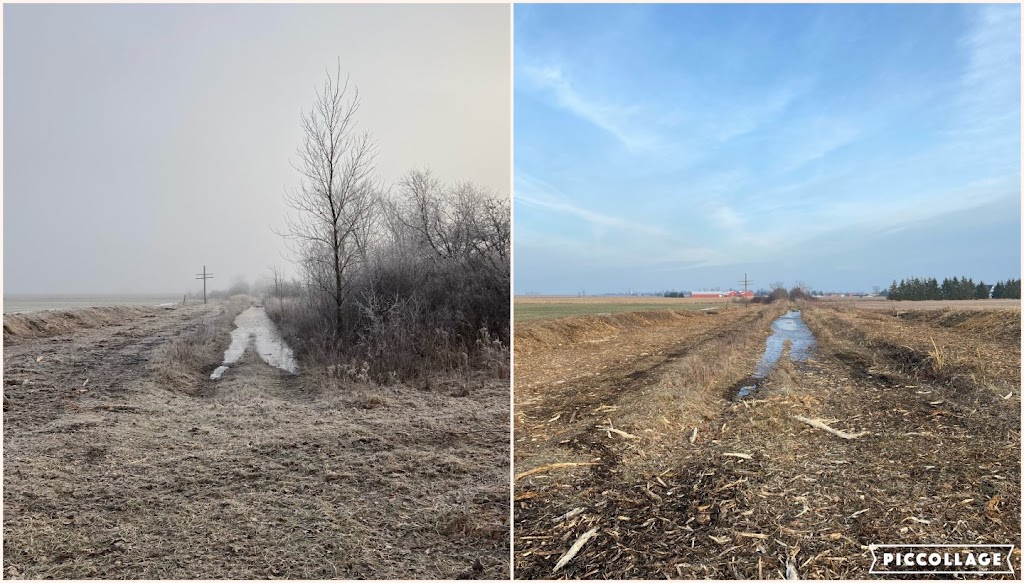 Handy Bulldozing & Brush Control | 29559 Highway 28 Soth, Bancroft, ON K0L 1C0, Canada | Phone: (613) 334-8726