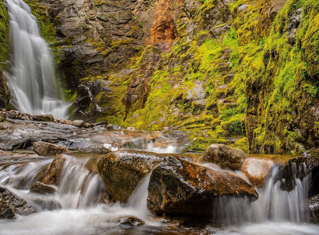 Syringa Provincial Park | 5570 Broadwater Rd, Robson, BC V0G 1X0, Canada | Phone: (250) 365-6945