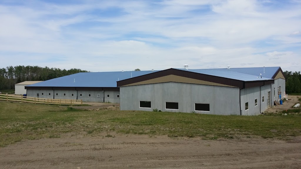 Horse In Hand Ranch Ltd. | Blackfalds, AB T0M 0J0, Canada | Phone: (403) 550-3440