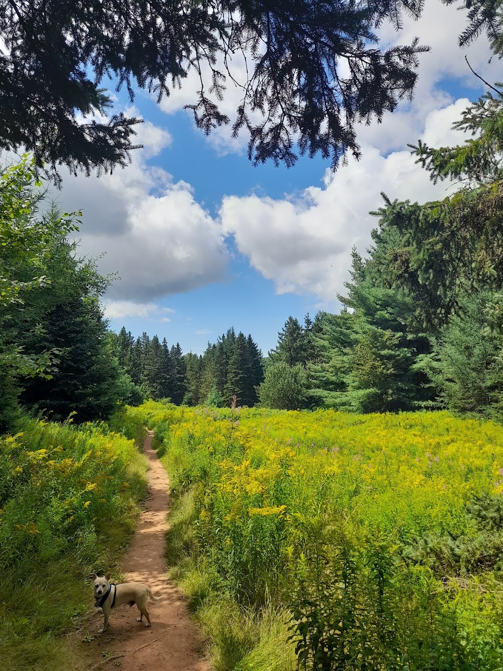 Bonshaw Hills Provincial Park | 29 Green Rd, Bonshaw, PE C0A 1C0, Canada | Phone: (902) 859-8790