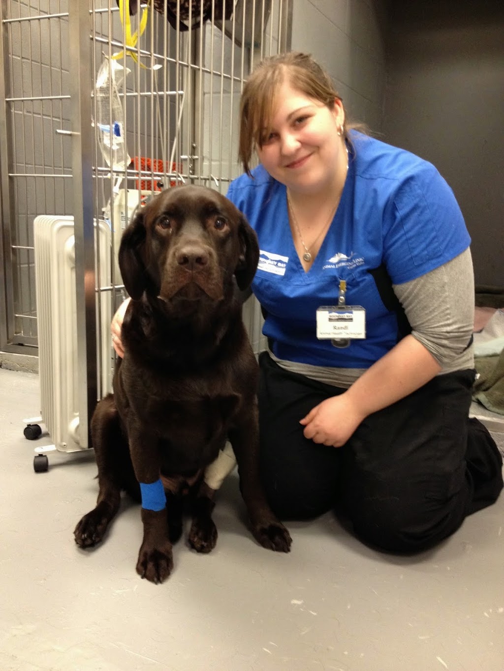 Boundary Bay Veterinary Specialty Hospital | 20434 64 Ave #202, Langley City, BC V2Y 1N4, Canada | Phone: (604) 514-8383