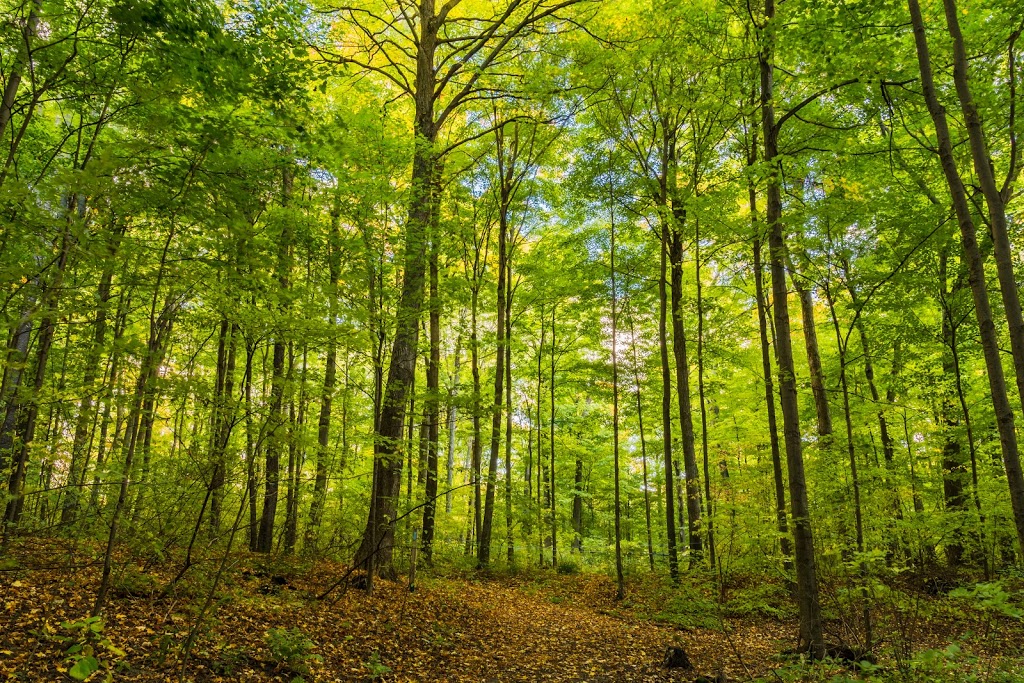 Purple Woods Conservation Area | 38 Coates Rd E, Oshawa, ON L1H 7K4, Canada | Phone: (905) 579-0411