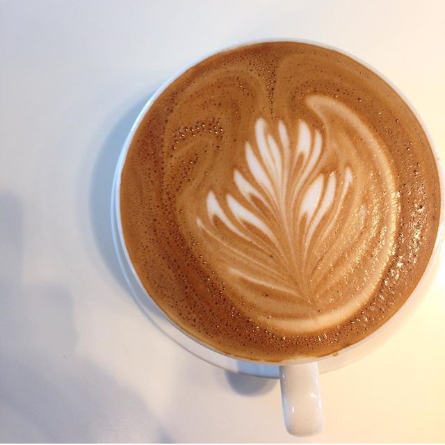 Bridgehead | 2140 Carling Ave, Ottawa, ON K2A 1H1, Canada | Phone: (613) 729-6085