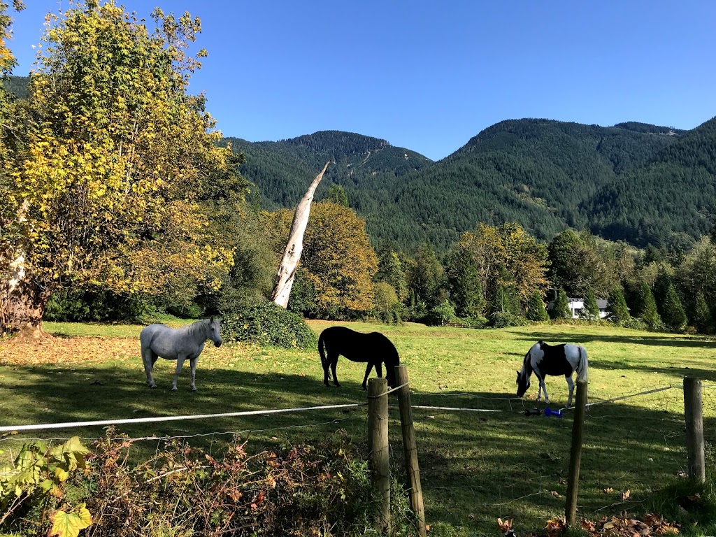 Laidlaw Forgeworks | 14275 Sylvester Rd, Fraser Valley F, BC V2V 4J1, Canada | Phone: (604) 674-5104