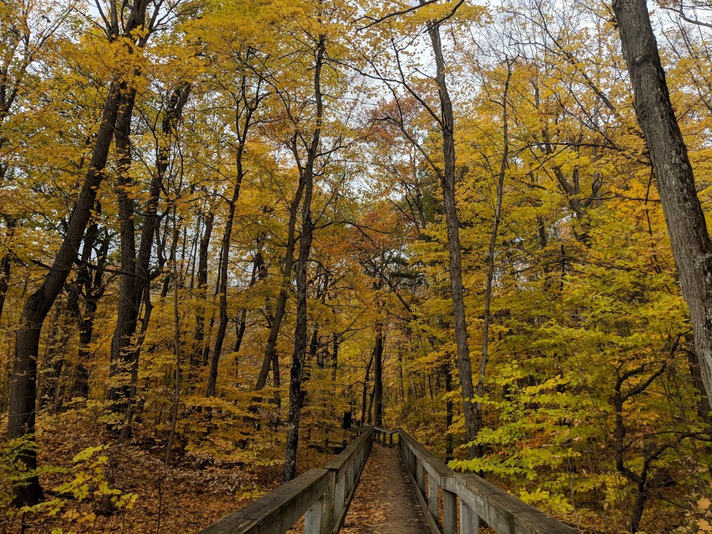 Pink Lake Trail | Prom. de la Gatineau, Gatineau, QC J9J, Canada