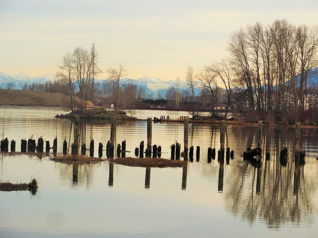 Captains Cove Marina - Work Yard | 6100 Ferry Rd, Delta, BC V4K 3M9, Canada | Phone: (604) 946-1244