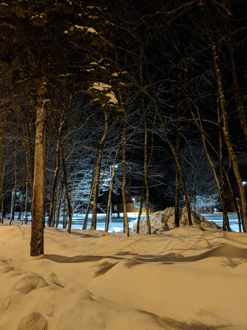 Boisé des Compagnons-de-Cartier | Chemin des Quatre-Bourgeois, Québec, QC G1X 3Z6, Canada | Phone: (418) 528-0773
