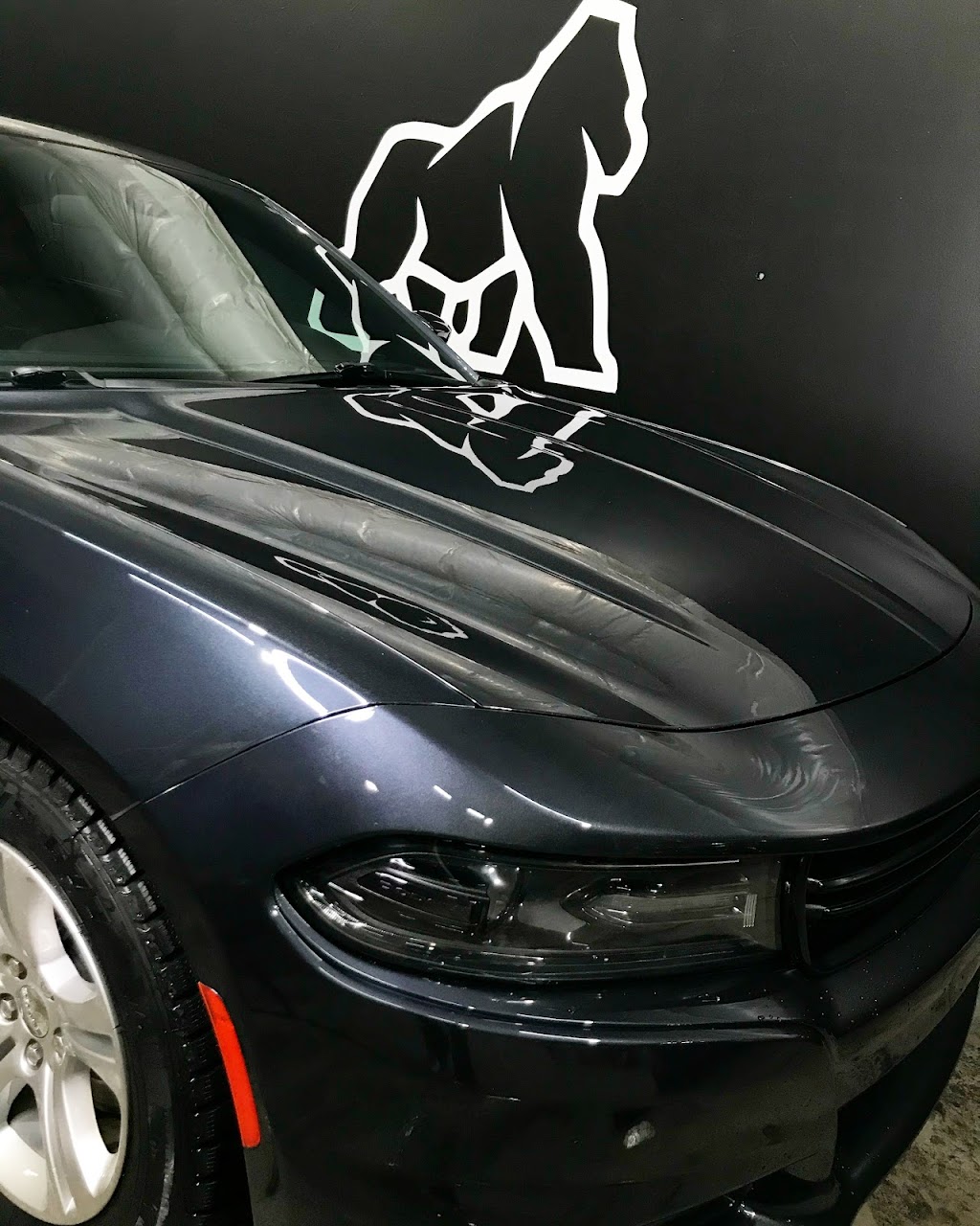 Tint x PPF | 7070 Pacific Cir, Mississauga, ON L5T 2A7, Canada | Phone: (437) 269-8468